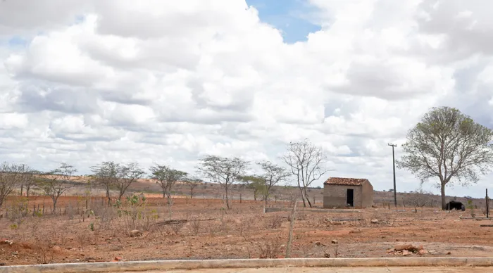 Semac e Univasf promovem seminário sobre combate à desertificação no sertão sergipano