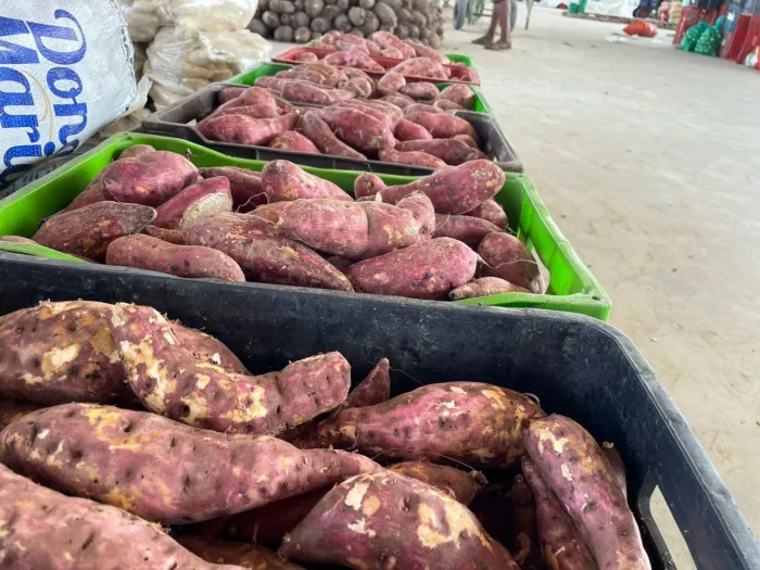 Produtos como alface, batata-doce e inhame registram queda nos preços na Ceaca