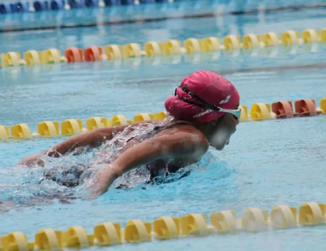 Nadadora sebastianense de 8 anos é a mais rápida do Brasil em quatro modalidades diferentes