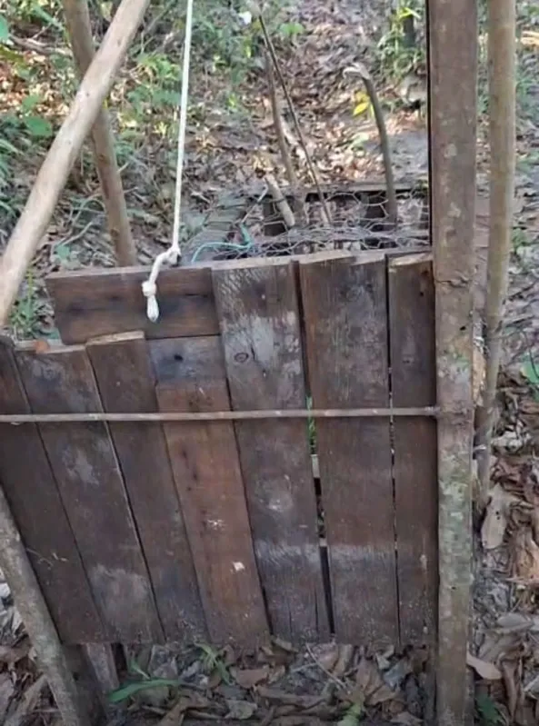 Brasilândia combate crime ambiental com apreensão de armadilha na Reserva Cisalpina