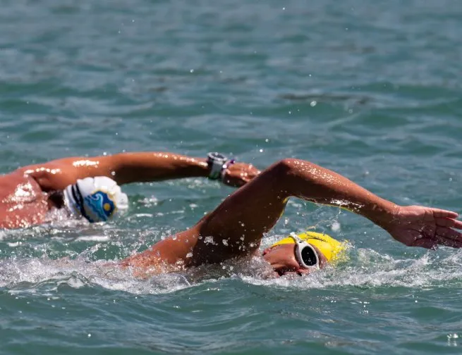 Foto: Reprodução/Prefeitura de São Sebastião - SP