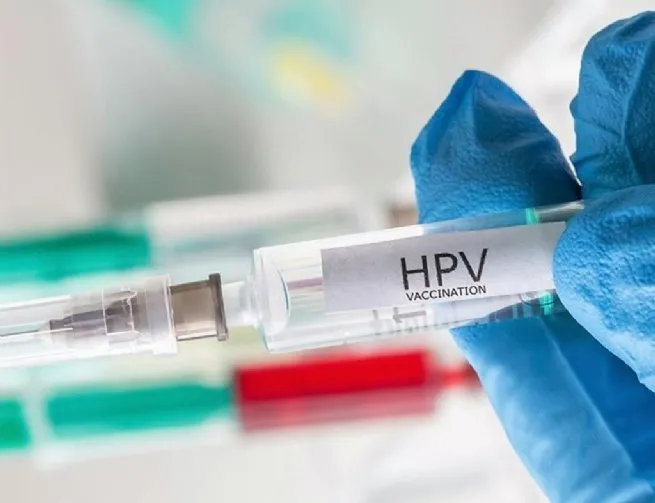 Foto: Reprodução/Prefeitura de São Sebastião - SP