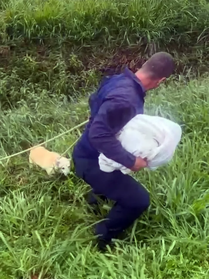 GCM de Araçatuba resgata cachorro ferido em valetão no Bairro Dona Amélia