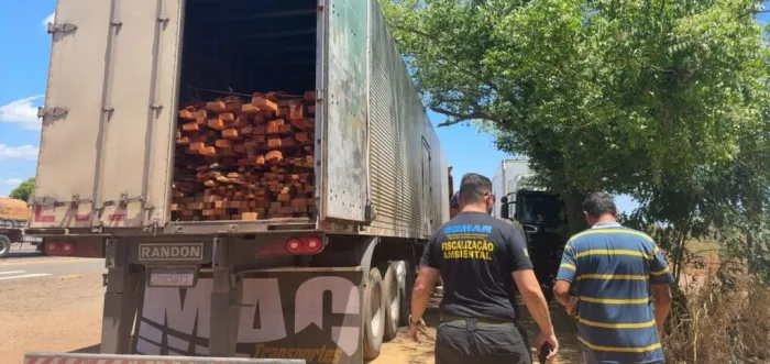 Secretaria do Meio Ambiente e PRF realizam a maior apreensão de madeira ilegal do ano no Piauí