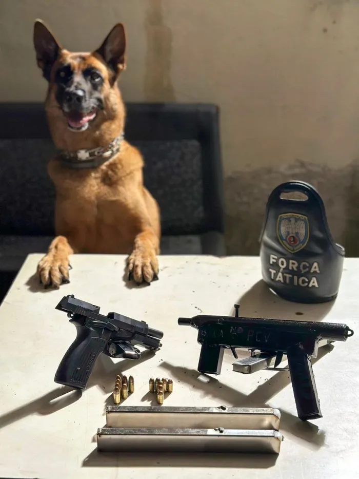 Força Tática e K9 da 17ª Companhia Independente realizam apreensão de armas de fogo e drogas em Vila Velha