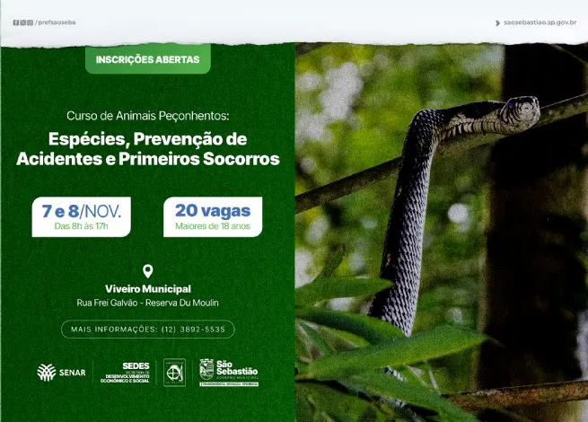 Foto: Reprodução/Prefeitura de São Sebastião - SP