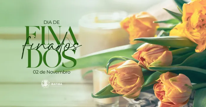 Foto: Reprodução/Câmara de Ibatiba - ES