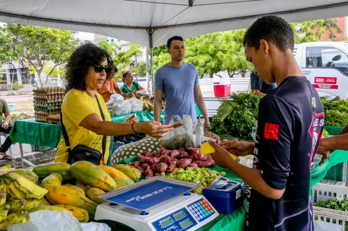 Apoio da Prefeitura de João Pessoa à agricultura familiar transforma atividades na zona rural