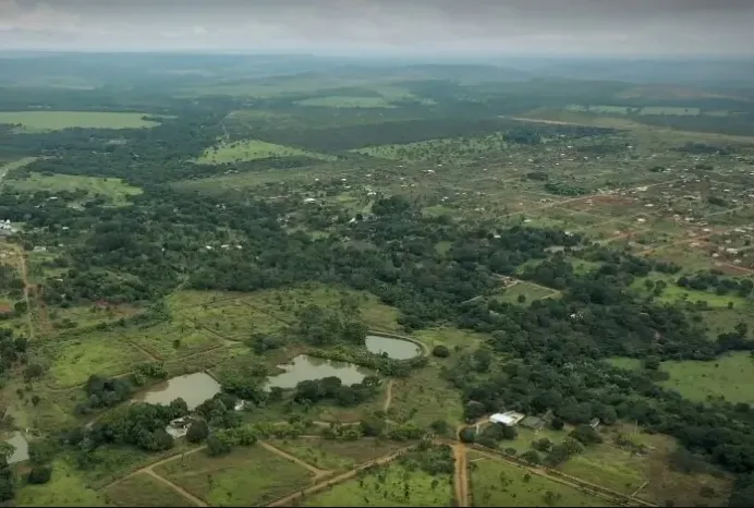 Foto: Reprodução Web