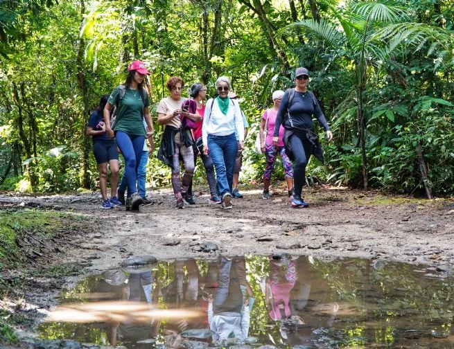 Foto: Reprodução/Prefeitura de São Sebastião - SP