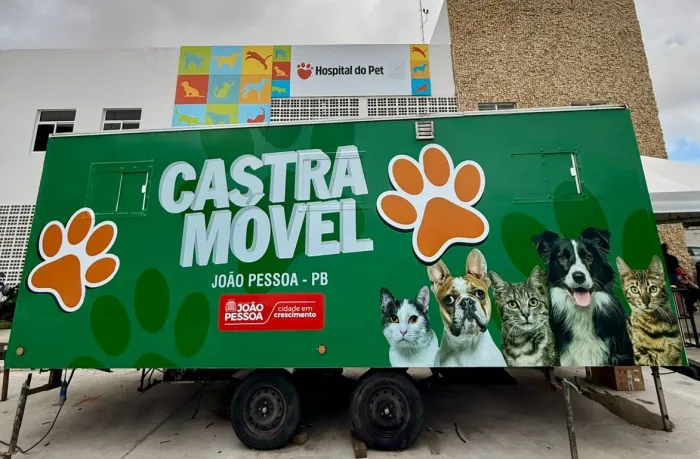 Prefeitura de João Pessoa oferta 100 vagas para castração de gatos no Alto do Mateus
