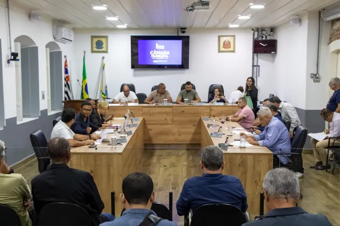 Câmara aprova projetos sobre fios, saúde e COPASS; debate sobre acesso na Reserva du Moulin e inclusão escolar marca sessão