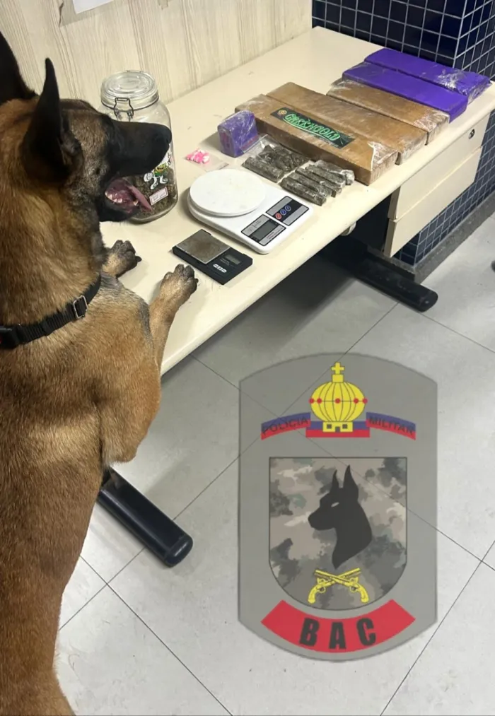 BAC localiza armas, munições e drogas durante operação em Vitória e Vila Velha