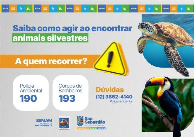 Prefeitura orienta população sobre como agir ao encontrar animais silvestres