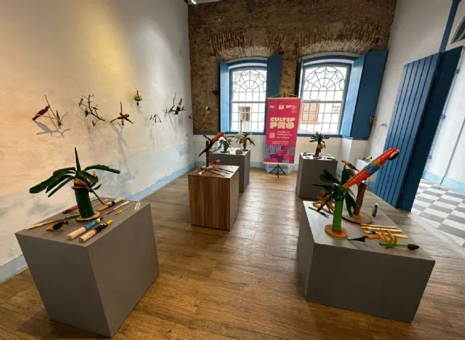 Foto: Reprodução/Prefeitura de São Sebastião - SP