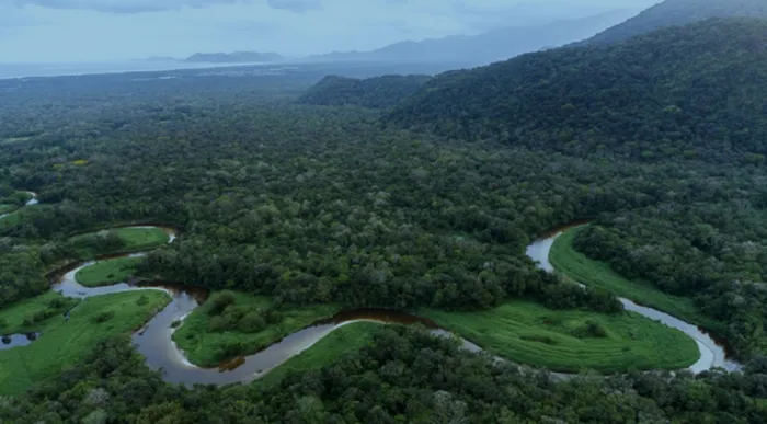 Conheça os mamíferos que habitam os parques de Bertioga neste sábado (8)