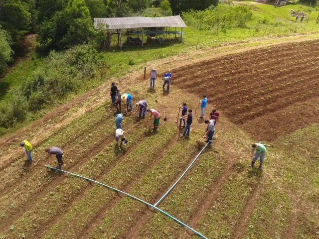 Epagri e Secretaria da Educação abrem inscrições gratuitas para ingressar nos Cedups Agrotécnicos