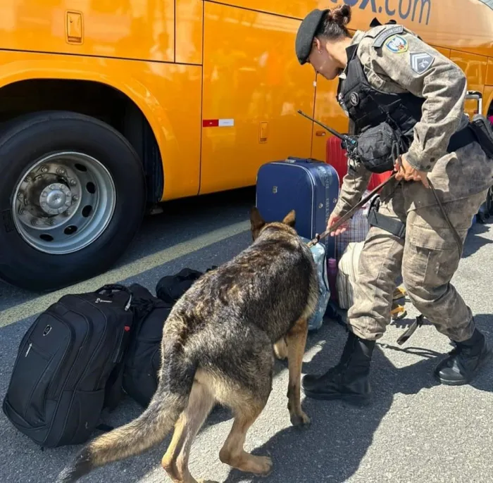 Artigo científico sobre cães farejadores na repressão às drogas, desenvolvido por oficial da PMES, é publicado em revista internacional