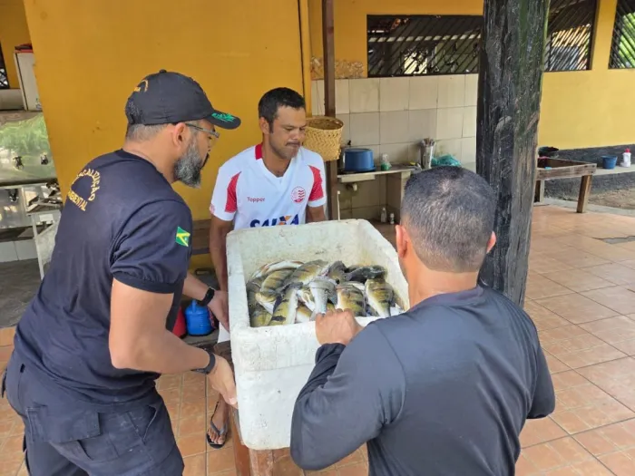 Foto: Reprodução/Prefeitura de Marabá - PA