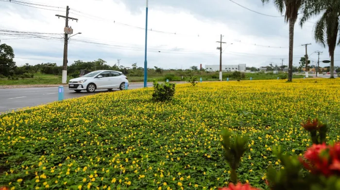 Foto: Reprodução/Prefeitura de Rio Branco - AC