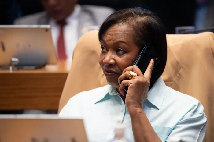 Foto: Carolina Curi/ Agência CLDF