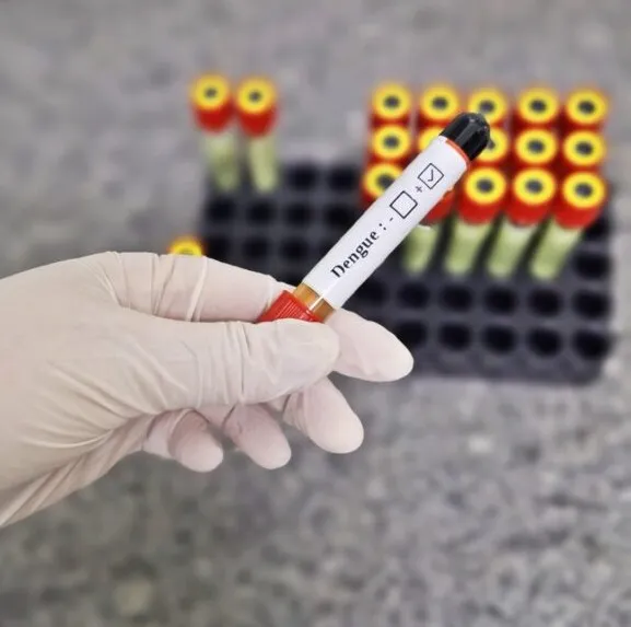 Até a semana epidemiológica 45, que compreende de 2 a 8 de novembro, foram confirmados 88.716 casos de dengue em Goiás este ano (Foto: SES)