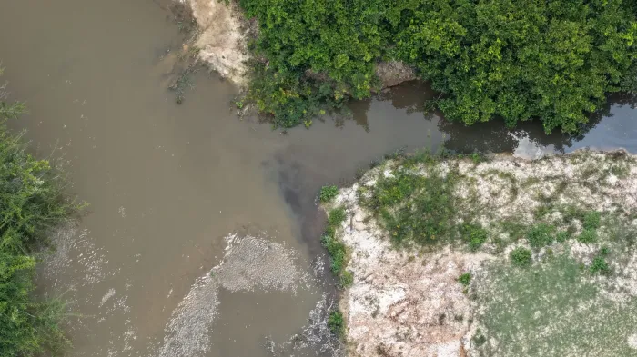 Meio Ambiente: Semma investiga mortandade de peixes no Rio Taurizinho