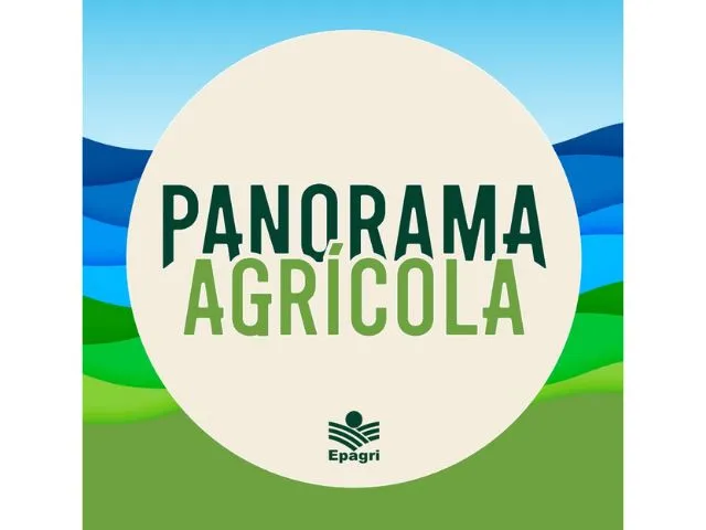 Epagri lança nova página de podcasts e renova identidade visual do ‘Panorama Agrícola’