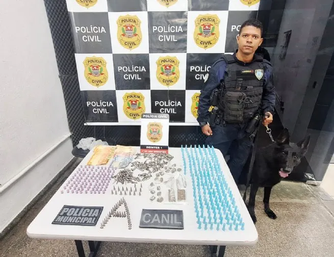 Foto: Reprodução/Prefeitura de São Sebastião - SP