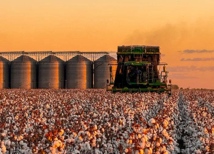 Piauí registra PIB de R$ 80,9 bilhões em 2023 e supera média de crescimento da região Nordeste