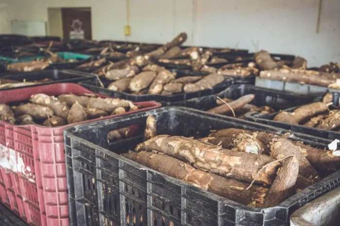 Prefeitura de João Pessoa lança nova etapa do Programa de Aquisição de Alimentos