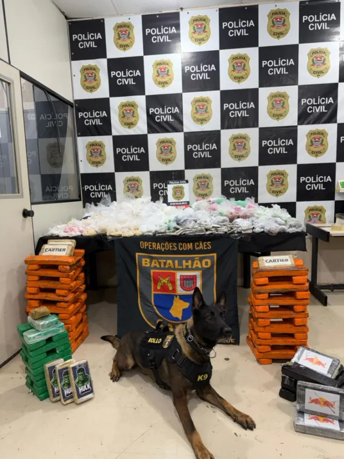 Cão farejador da PM encontra ‘casa bomba’ com 130 quilos de drogas em Paraisópolis