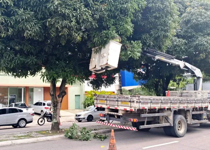 Sedurb conclui nesta quinta-feira a poda de árvores no percurso da Romaria da Penha