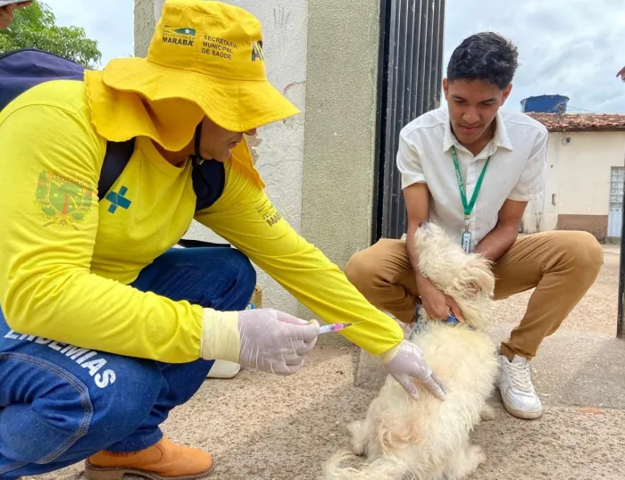 SMS: Centro de Controle de Zoonoses intensifica vacinação antirrábica na Nova Marabá