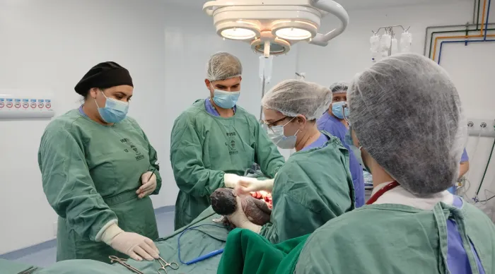 Ação integrada da Rede Estadual de Saúde salva vida de recém-nascido no Huse