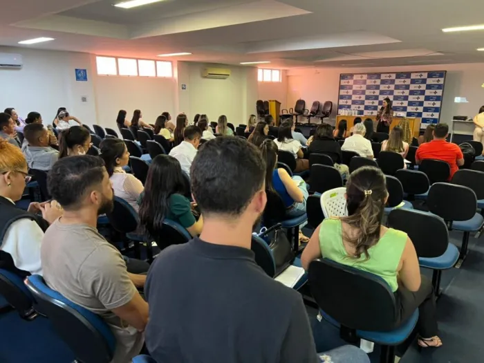 Reunião da Sesapi no Ministério da Saúde discute indicadores do Pactos pelo Piauí no Território Entre Rios