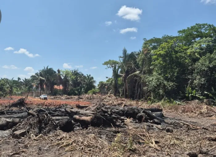 Ação da Semarh confirma desmatamento ilegal no Recanto das Palmeiras em Teresina