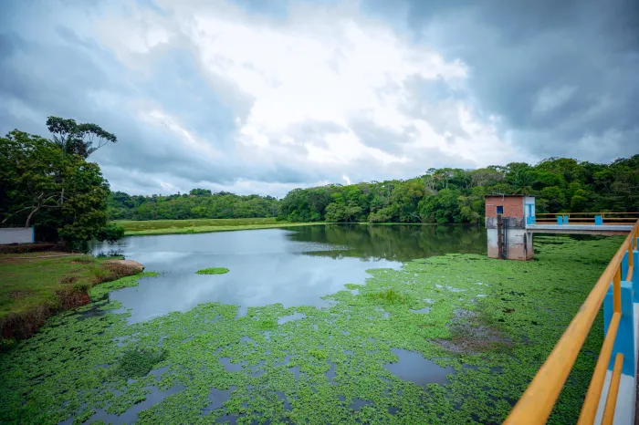Professores concluem curso de Educação Ambiental com visita pedagógica ao Rio Joanes