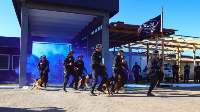 Polícia Penal forma novos agentes em curso sobre intervenção prisional com o uso de cães