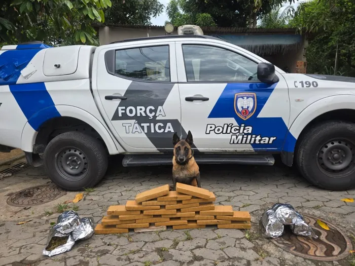 6º Batalhão realiza apreensão de grande quantidade de entorpecentes na Serra