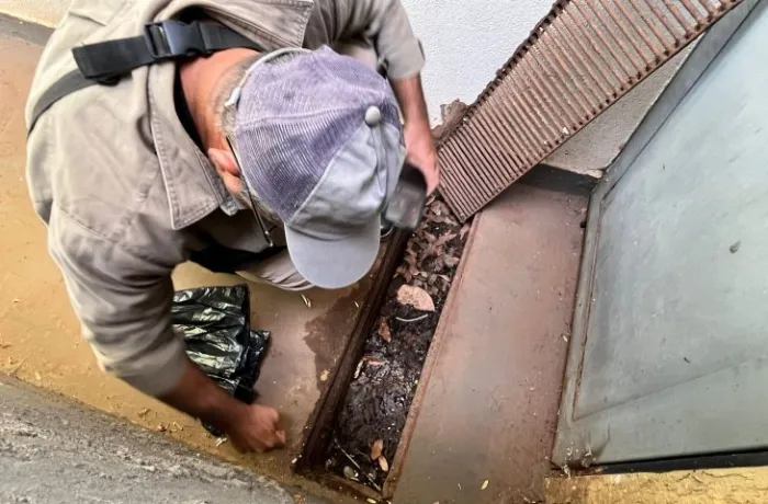 Boletim Epidemiológico: MS registra 8.384 casos confirmados de dengue