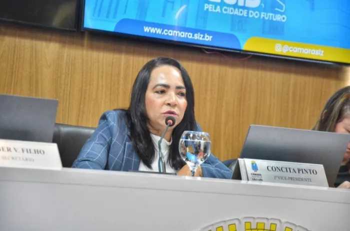 Concita Pinto propõe reconhecer Festejo de Nossa Senhora Aparecida da Foz do Rio Anil como patrimônio cultural
