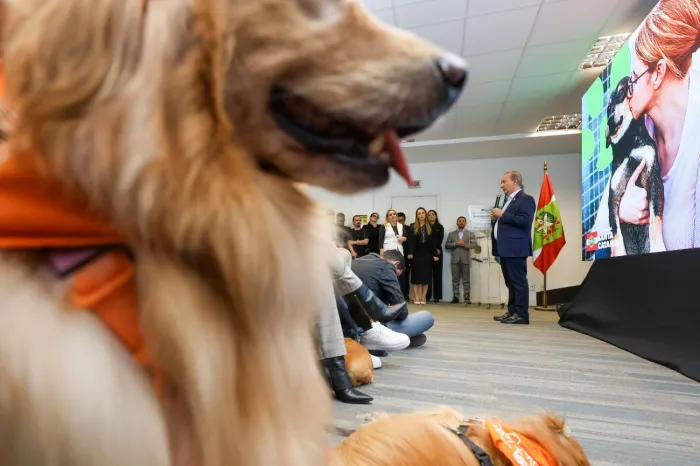 Retrospectiva 2025: Governo de Santa Catarina avança na gestão ambiental e na economia verde