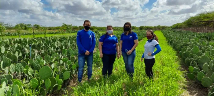 Foto: Reprodução/Secom Ceará
