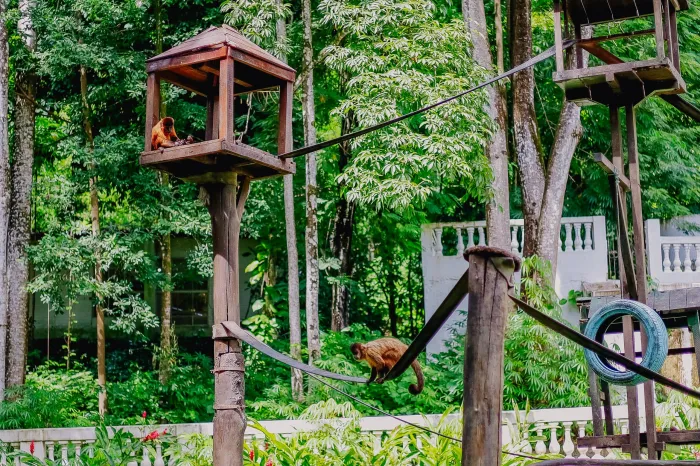 Prefeitura anuncia reabertura do Parque Zoobotânico Arruda Câmara com novas medidas de segurança e gestão