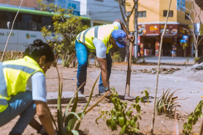 Após retomada da gestão municipal, Praça do Rosário, em Caruaru, passa por revitalização no paisagismo