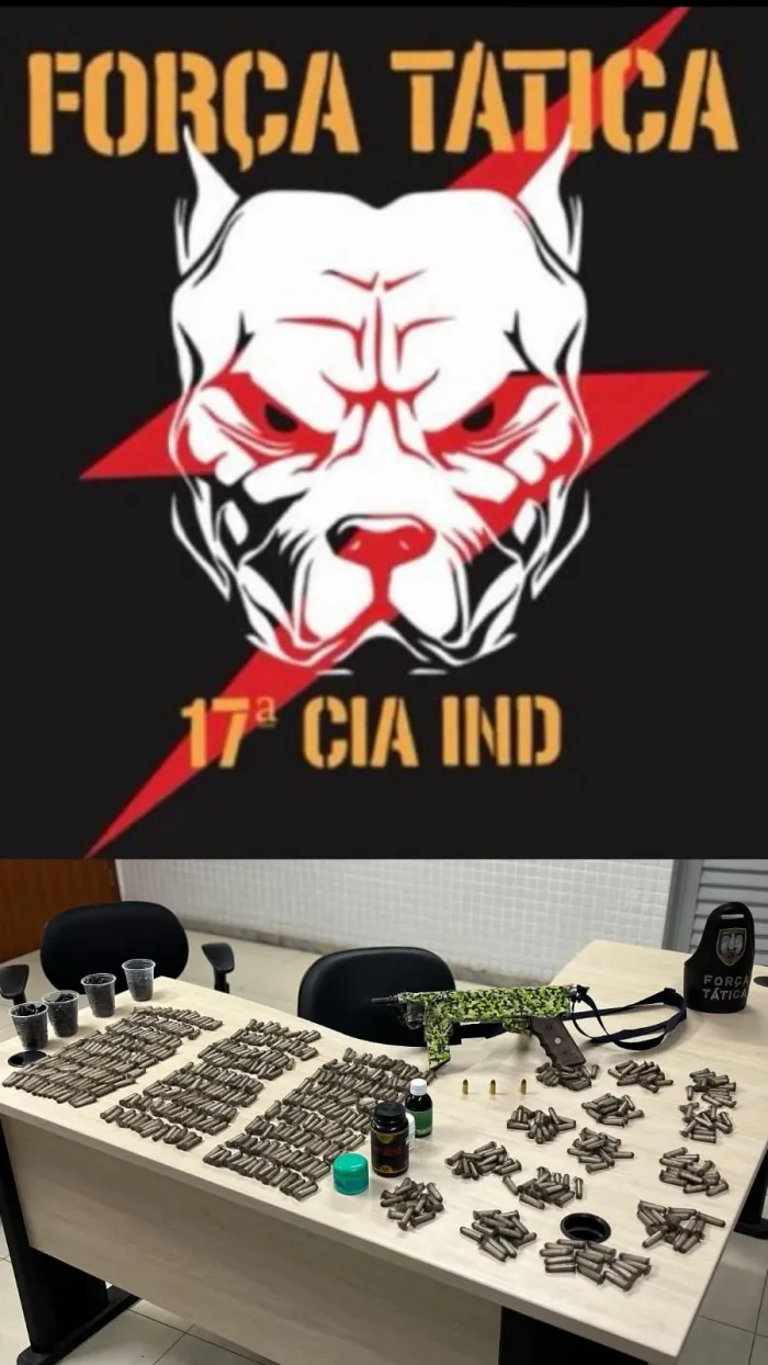 Força Tática da 17ª CIA IND realiza apreensões de armas de fogo e entorpecentes