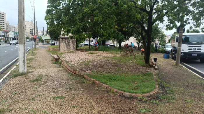 Mutirão recolhe duas toneladas de resíduos verdes