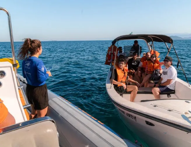 Presença de baleias-jubarte fora da temporada reforça ações de educação ambiental em São Sebastião