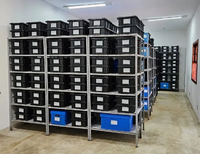 Prefeitura de São Sebastião e Fundass fortalecem preservação do patrimônio arqueológico no Museu do Bairro São Francisco